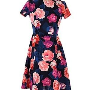 Eliza J beautiful floral dress below knee and only got to wear it once.